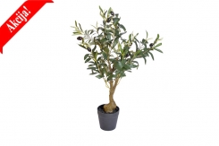 036 veštačka stabla masline